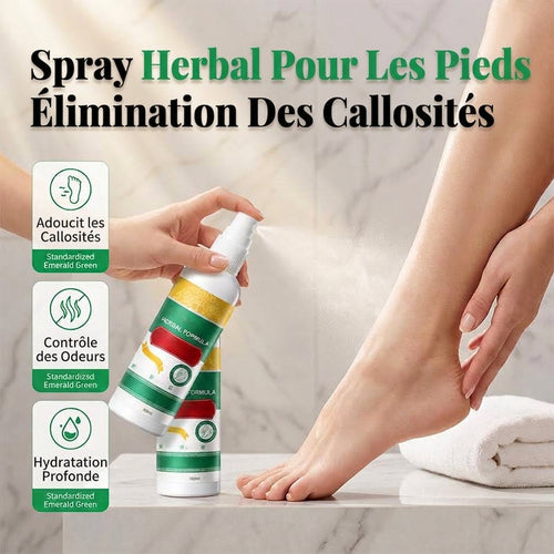 Spray Rafraîchissant Pieds à Base de Plantes
